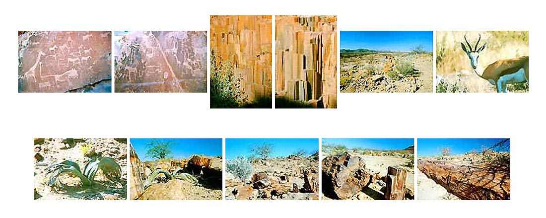 Twyfelfontein en Namibie 3 Twyfelfontein en Namibie gravures rupestres, organ pipes, bois pétrifié