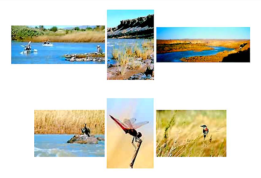 Fleuve Orange en Namibie 4 Fleuve Orange en Namibie